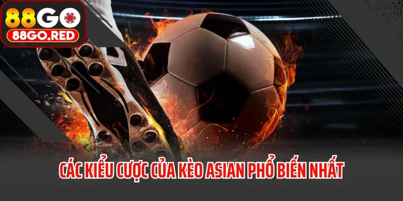 Các kiểu cược của kèo Asian phổ biến nhất