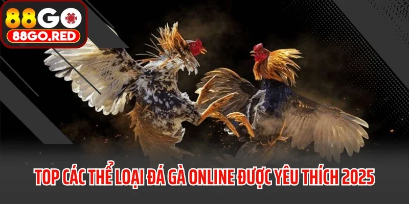 Top các thể loại đá gà online được yêu thích 2025